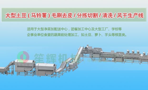 广西连续式土豆去皮清洗切割风干生产线